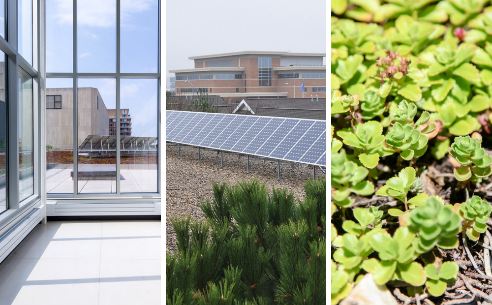 Solar panels at Central and Alicia Ashman Libraries, and green roof at Central