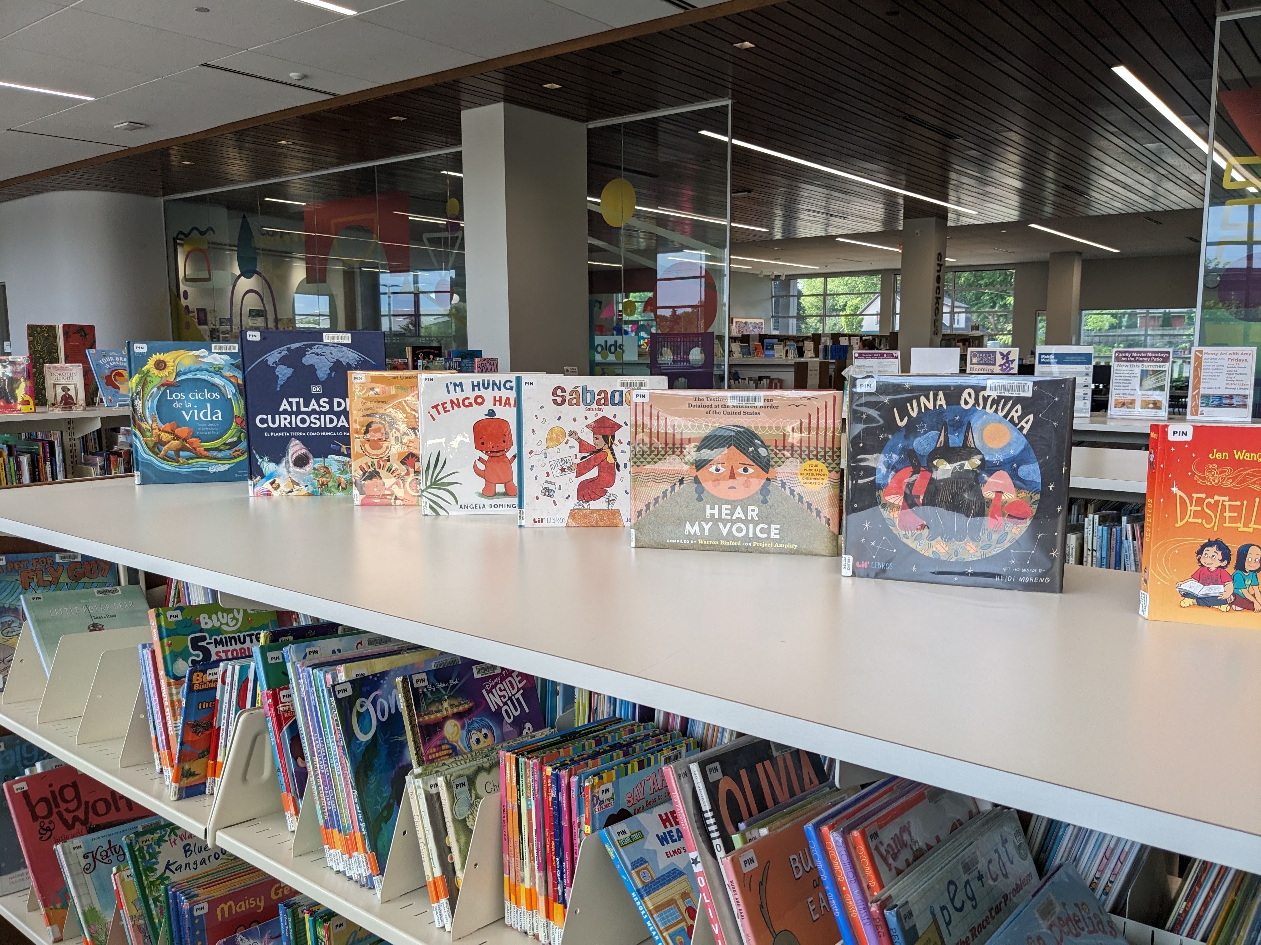 Spanish Language picture books on shelf