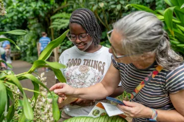 Blooming Butterflies event photo