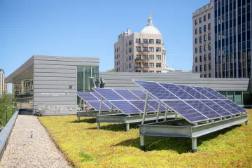 Green roof at Central Library 